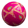 Brisbane Roar Supporter Ball - Pink
