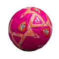 Brisbane Roar Supporter Mini Ball - Pink