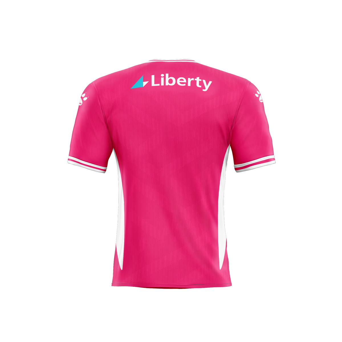 Brisbane Roar 26/27 Goalkeeper Away Jersey Mens